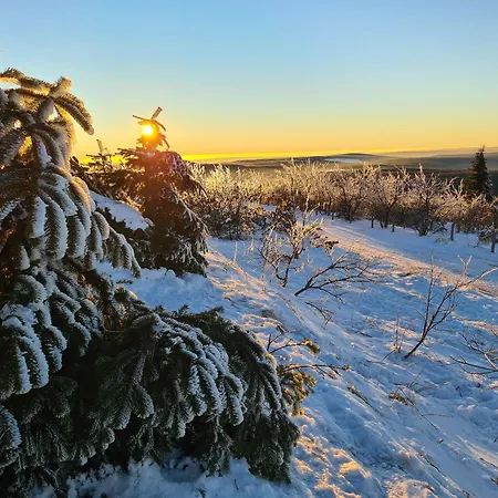 Appartamento Fewobaerenstein *