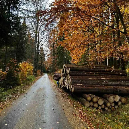 Appartamento Fewobaerenstein *