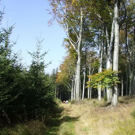 Appartamento Fewobaerenstein