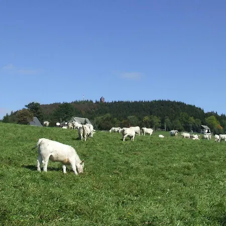 Fewobaerenstein * Bärenstein